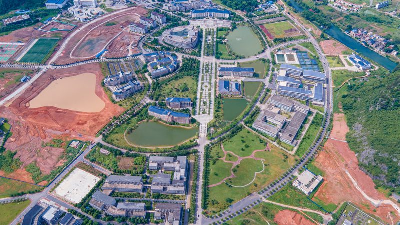 二极管正负极识别：实用技巧与误区解析**
