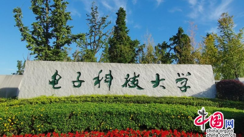 深圳市电子有限公司